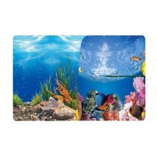 953 Çift Taraflı Poster 3 Boyutlu 30cm-15mt