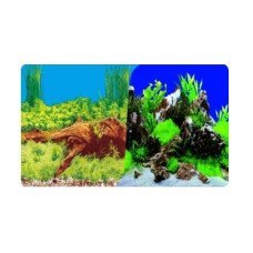 286 Çift Taraflı Plastik Poster Bitki Kaya 60cm-15mt